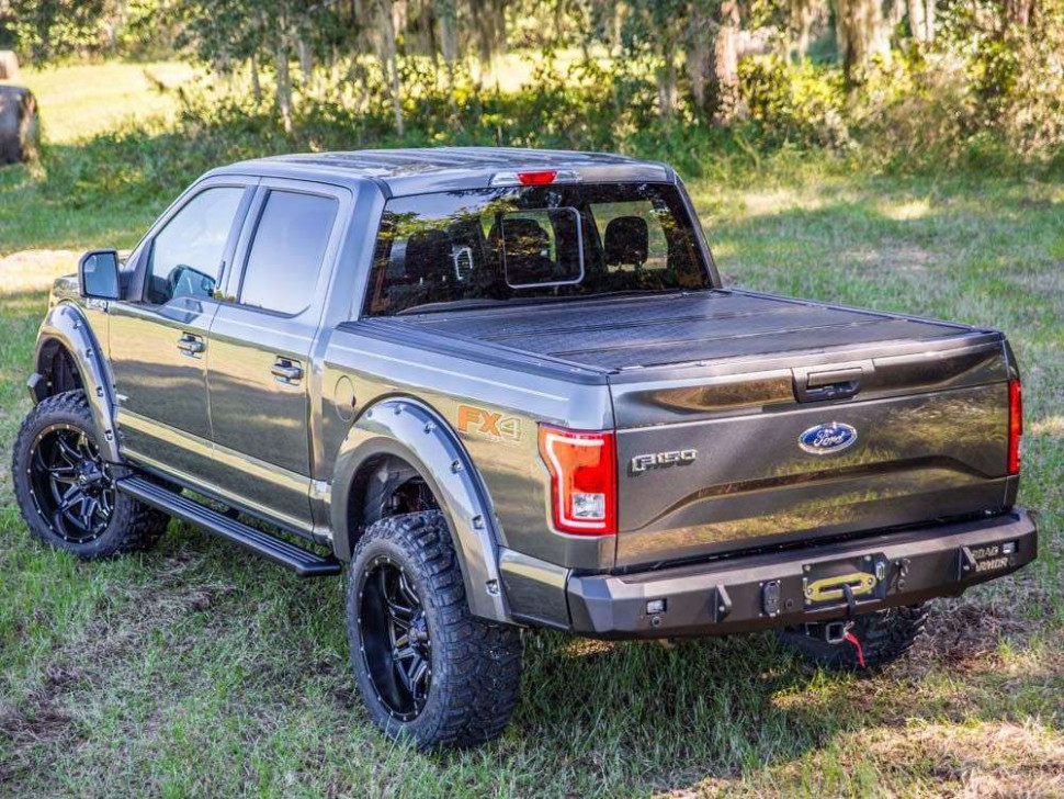 Задний бампер Road Armor Ford F-150 15-20 (61600B)