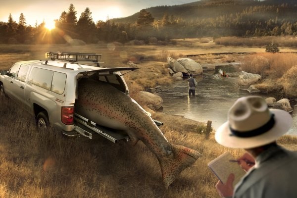 Выдвижная платформа пикапа 5' Bedslide 1500 Contractor 15-6347-CG