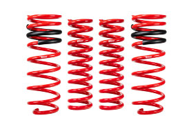 Комплект пружин 4 штуки Toyota Tundra 22-25 Pro Lift Kit Lift 2.5" x 1" Eibach E30-82-096-04-22