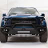 Fab Fours FF10-D1962-1 Pre-Runner Guard Front Bumper Ford F-150 Raptor 10-14