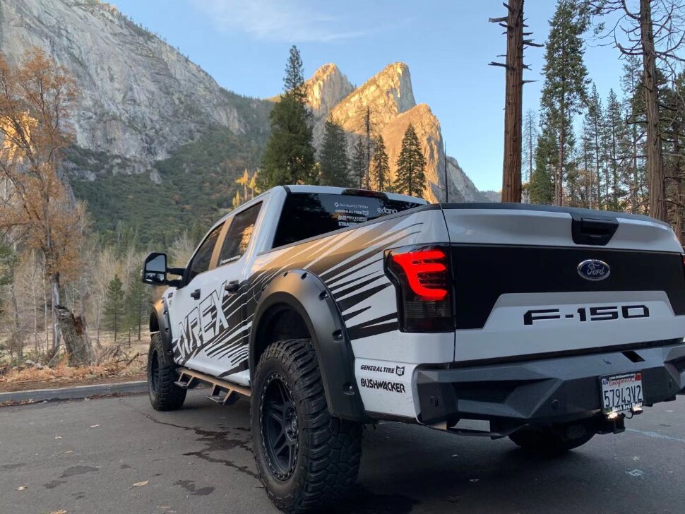 Світлодіодні задні ліхтарі Ford F-150 15-20 PRO-Series AlphaRex 652010